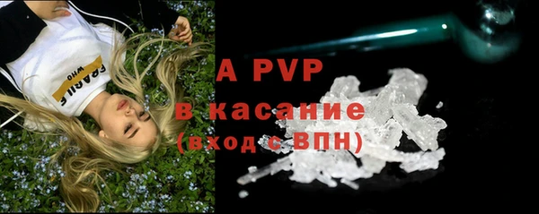 PSILOCYBIN Няндома