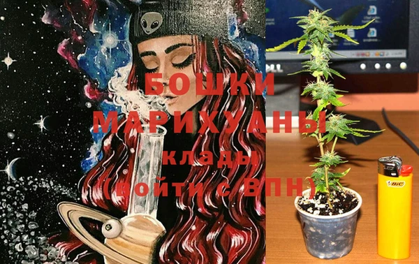 PSILOCYBIN Няндома