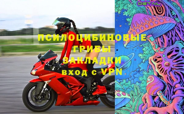 PSILOCYBIN Няндома
