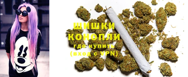 PSILOCYBIN Няндома