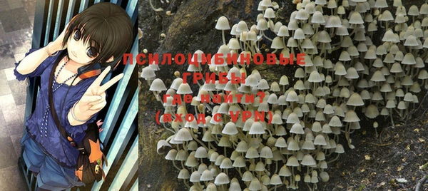 PSILOCYBIN Няндома